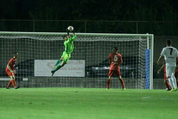 L’esordio vincente della Juniores Nazionale Virtus CiseranoBergamo ad Alzano