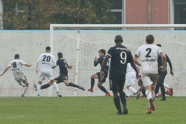 Arconatese-Virtus Ciserano Bergamo (1-1): le immagini del match