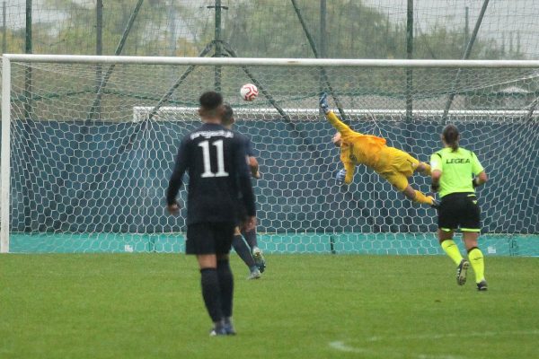 Virtus Ciserano Bergamo – Virtus Bolzano 2-2: le immagini del match