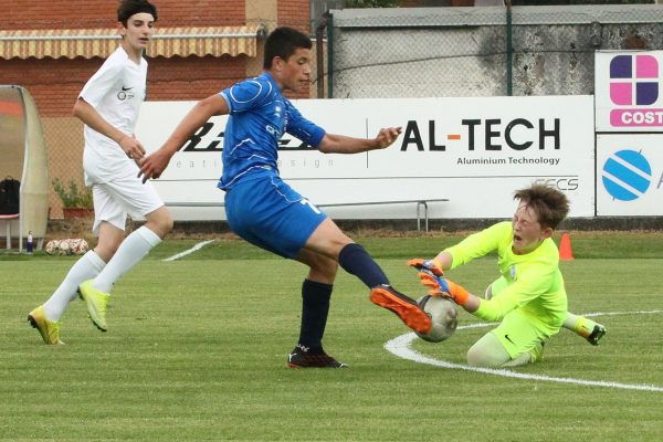 Torneo De Guz: Virtus Ciserano Bergamo-Uesse Sarnico 6-1