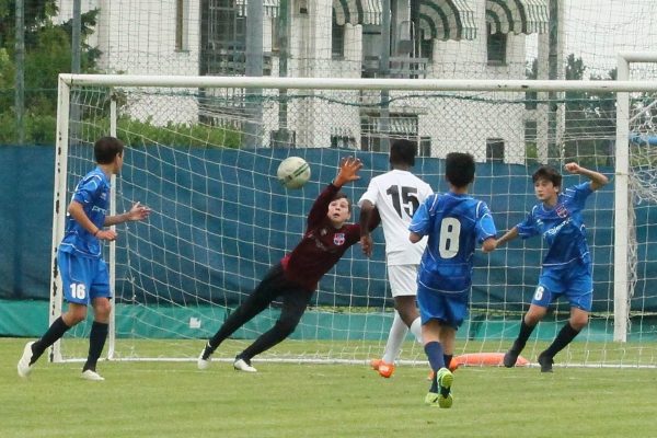 Torneo De Guz: Virtus Ciserano Bergamo-Uesse Sarnico 6-1