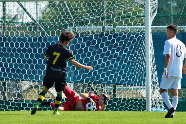 Virtus Ciserano Bergamo-City Nova 1-2: le immagini del match