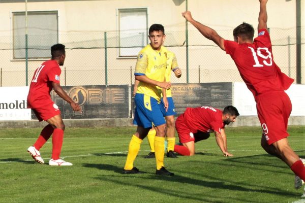 Virtus Ciserano Bergamo-Arconatese (2-2): le immagini del match