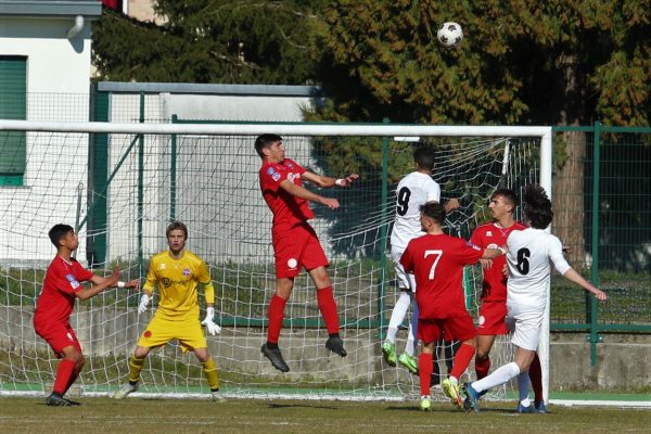 Vis Nova Giussano-Virtus Ciserano Bergamo (3-1): le immagini del match