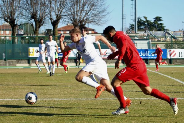 Vis Nova Giussano-Virtus Ciserano Bergamo (3-1): le immagini del match