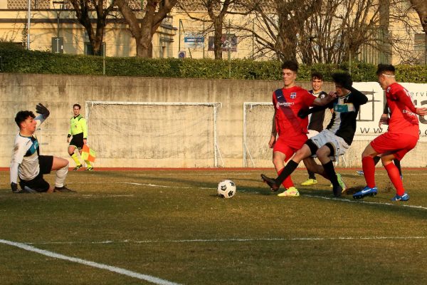 Juniores Nazionale VCBG-Brianza Olginatese (1-1): le immagini del match
