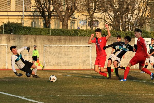 Juniores Nazionale VCBG-Brianza Olginatese (1-1): le immagini del match