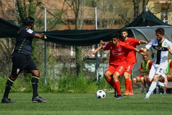 Brianza Olginatese-Virtus Ciserano Bergamo (2-3): le immagini del match