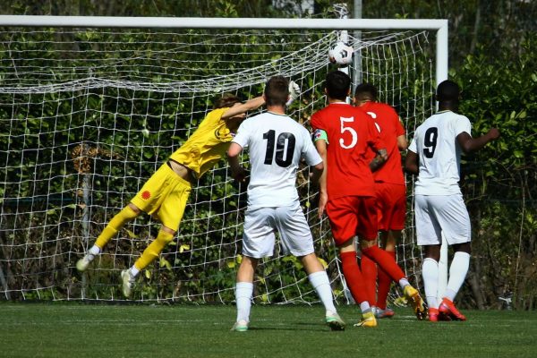 Brianza Olginatese-Virtus Ciserano Bergamo (2-3): le immagini del match