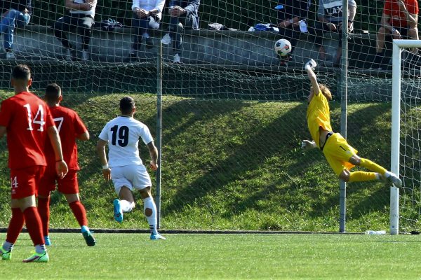 Brianza Olginatese-Virtus Ciserano Bergamo (2-3): le immagini del match