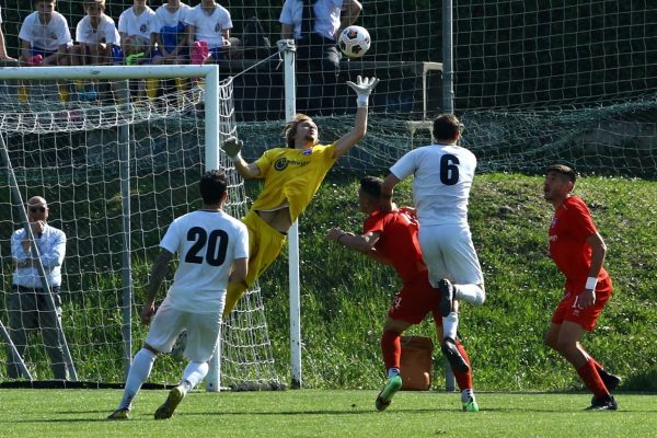 Brianza Olginatese-Virtus Ciserano Bergamo (2-3): le immagini del match