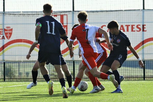 Casatese-Virtus Ciserano Bergamo 0-2: le immagini del match