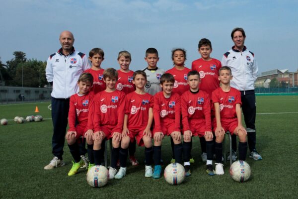 Pulcini 2013