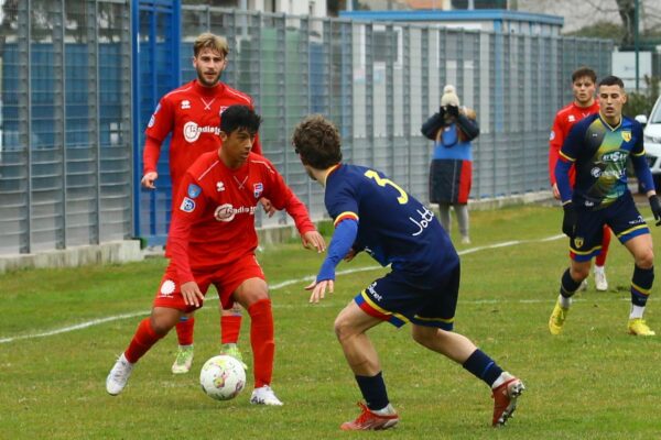 Virtuus Ciserano Bergamo-Sona (2-0): le immagini del match