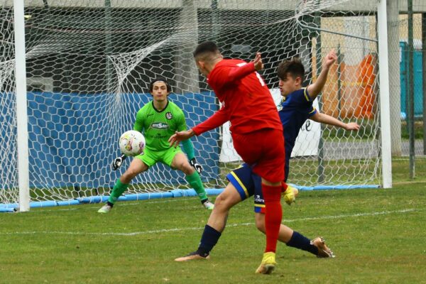 Virtuus Ciserano Bergamo-Sona (2-0): le immagini del match