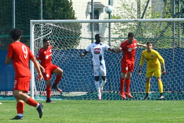 Virtus Ciserano Bergamo-Desenzano (0-1): le immagini del match