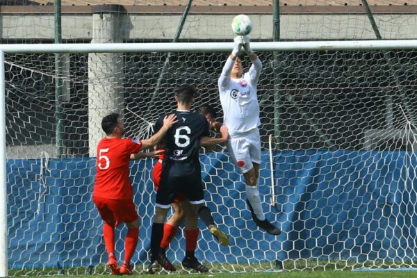 Virtus Ciserano Bergamo-Varesina (2-1): le immagini del match