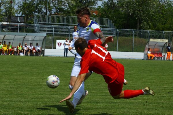 Arconatese-Virtus Ciserano Bergamo (2-2): le immagini del match