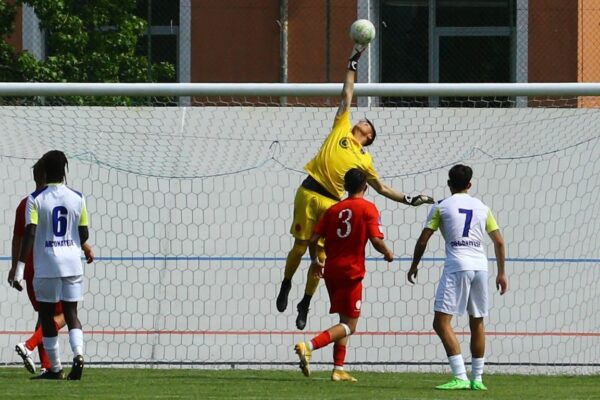 Arconatese-Virtus Ciserano Bergamo (2-2): le immagini del match