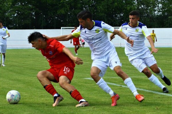 Arconatese-Virtus Ciserano Bergamo (2-2): le immagini del match