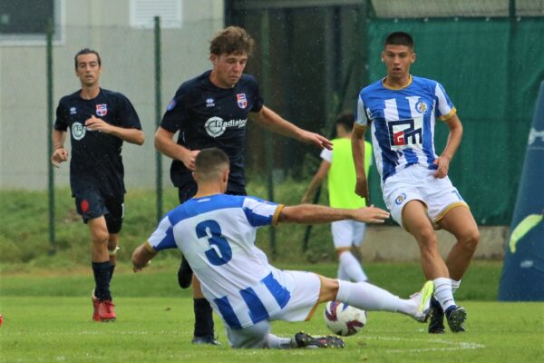 Test d’allenamento: Virtus Ciserano Bergamo-Pro Palazzolo 1-3