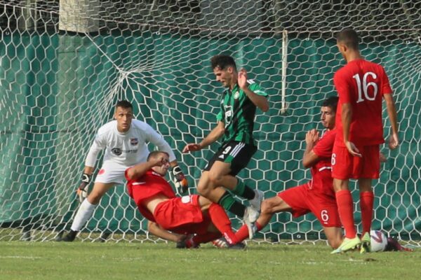 Virtus Ciserano Bergamo-Castellanzese (2-1): le immagini del match