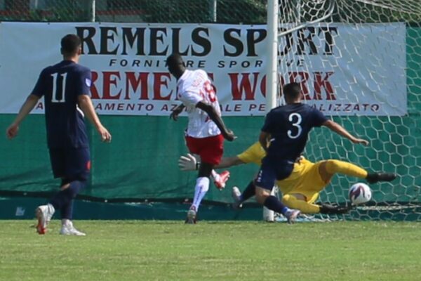 Virtus Ciserano Bergamo-Piacenza 2-3: le immagini del match