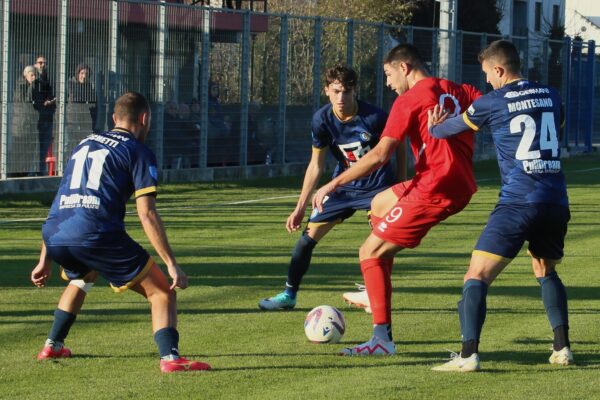 Virtus Ciserano Bergamo-Pro Palazzolo (1-2): le immagini del match