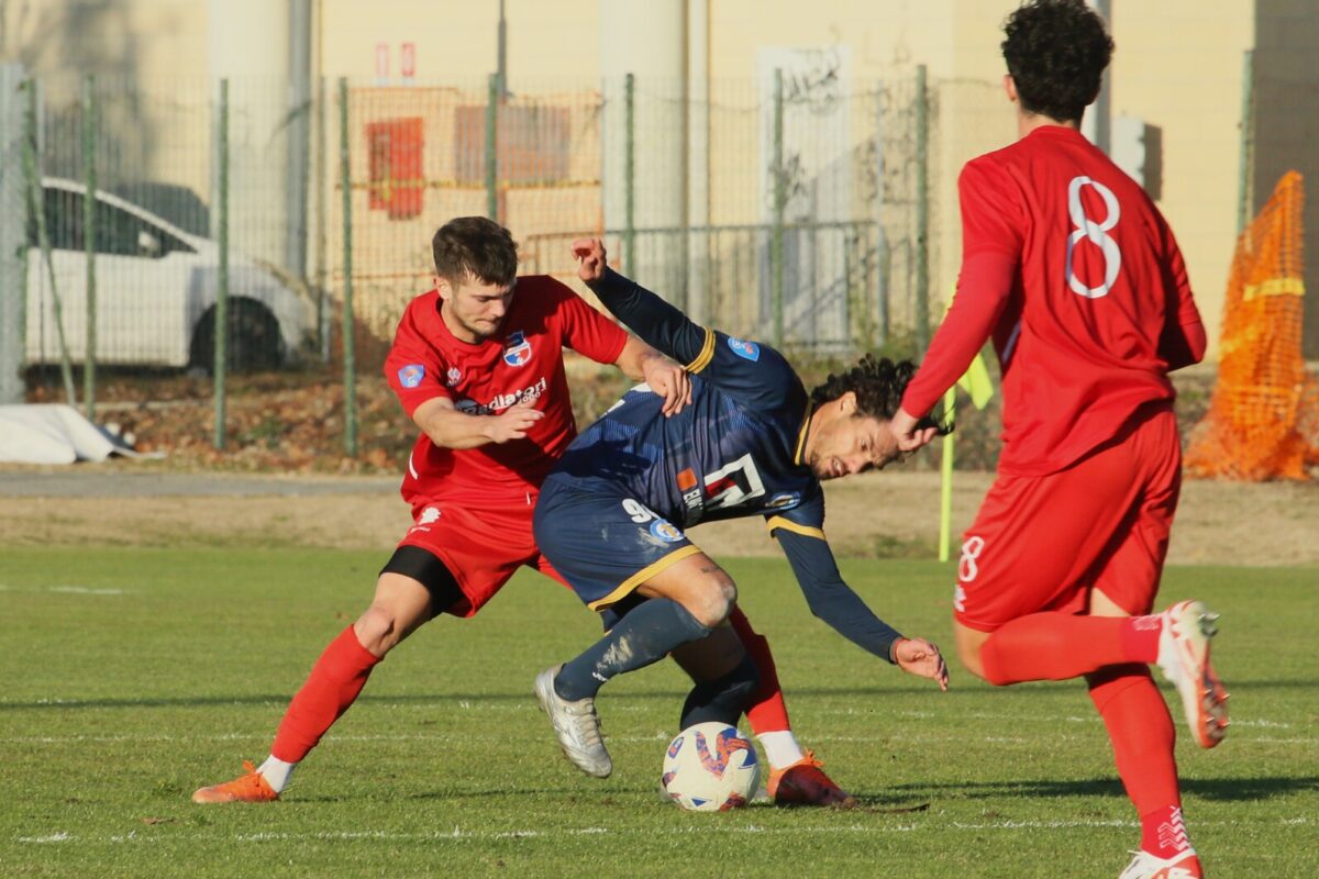 Virtus Ciserano Bergamo-Pro Palazzolo (1-2): le immagini del match