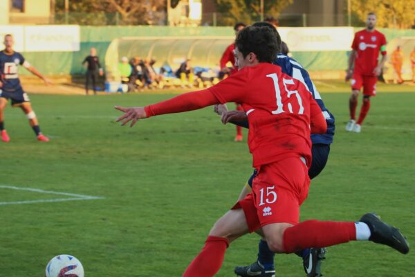 Virtus Ciserano Bergamo-Pro Palazzolo (1-2): le immagini del match