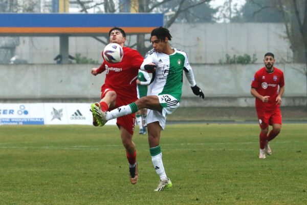 Castellanzese-Virtus Ciserano Bergamo (2-0): le immagini del match