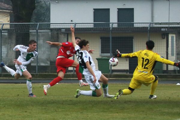 Castellanzese-Virtus Ciserano Bergamo (2-0): le immagini del match