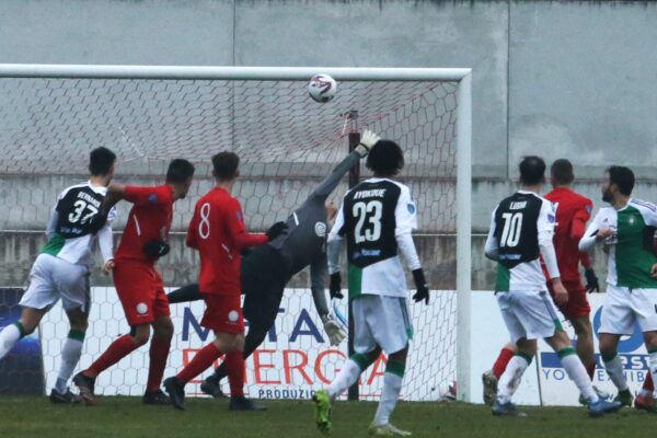 Castellanzese-Virtus Ciserano Bergamo (2-0): le immagini del match