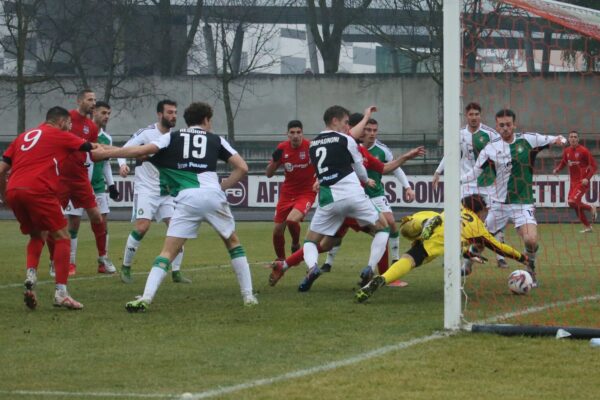 Castellanzese-Virtus Ciserano Bergamo (2-0): le immagini del match