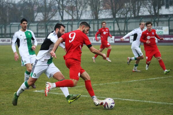 Castellanzese-Virtus Ciserano Bergamo (2-0): le immagini del match