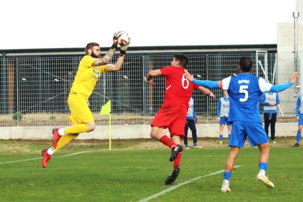 Virtus Ciserano Bergamo-Folgore Caratese (0-1): le immagini del match