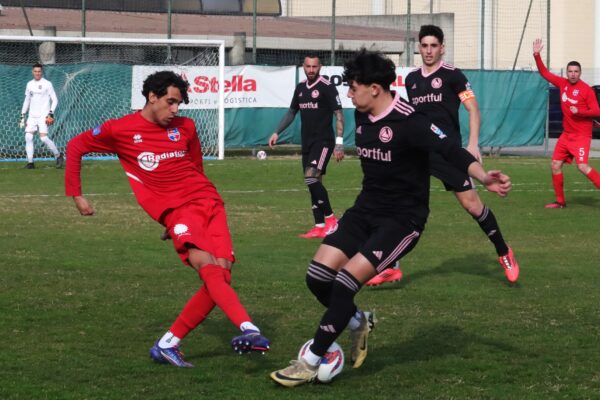 Virtus Ciserano Bergamo – Dolomiti Bellunesi (0-2): La Fotogallery