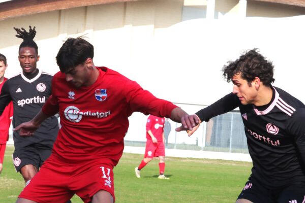 Virtus Ciserano Bergamo – Dolomiti Bellunesi (0-2): La Fotogallery