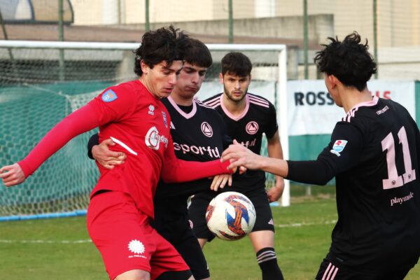 Virtus Ciserano Bergamo – Dolomiti Bellunesi (0-2): La Fotogallery