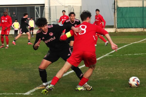 Virtus Ciserano Bergamo – Dolomiti Bellunesi (0-2): La Fotogallery