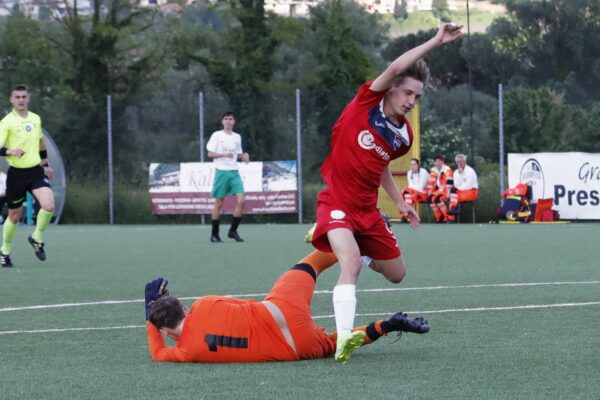 Finale fasi finali regionali: Under 15