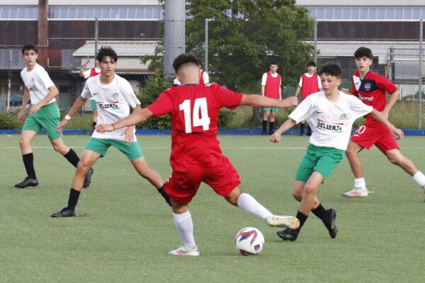 Finale fasi finali regionali: Under 15