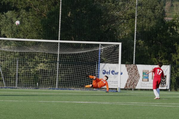 Finale fasi finali regionali: Under 15