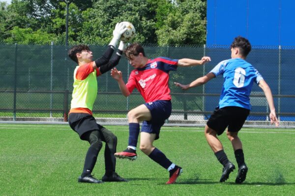 Quarti di finale regionale fasi finali: Under 14