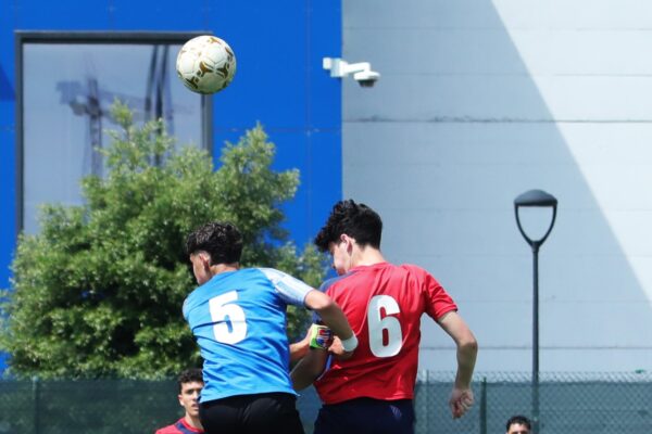 Quarti di finale regionale fasi finali: Under 14