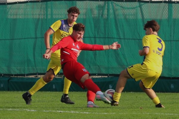 Juniores Nazionale U19: le immagini della vittoria interna sul Brusaporto (2-1)