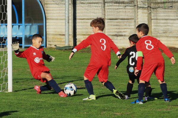 Primi Calci 2017-2018: le immagini della gara contro il Milan