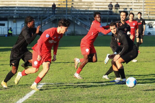 Vogherese-VCBG (0-1): le immagini del quarto successo consecutivo