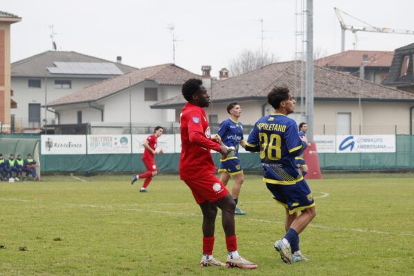 VCBG-ChievoVerona (0-2): le immagini del match contro i veneti