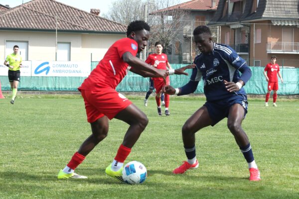 VCBG-Varesina (1-2): la immagini del ko interno